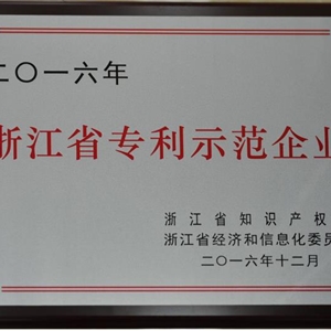 湖州新開(kāi)元 浙江省專(zhuān)利示范企業(yè)